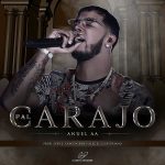 Anuel AA – #PalCarajo!